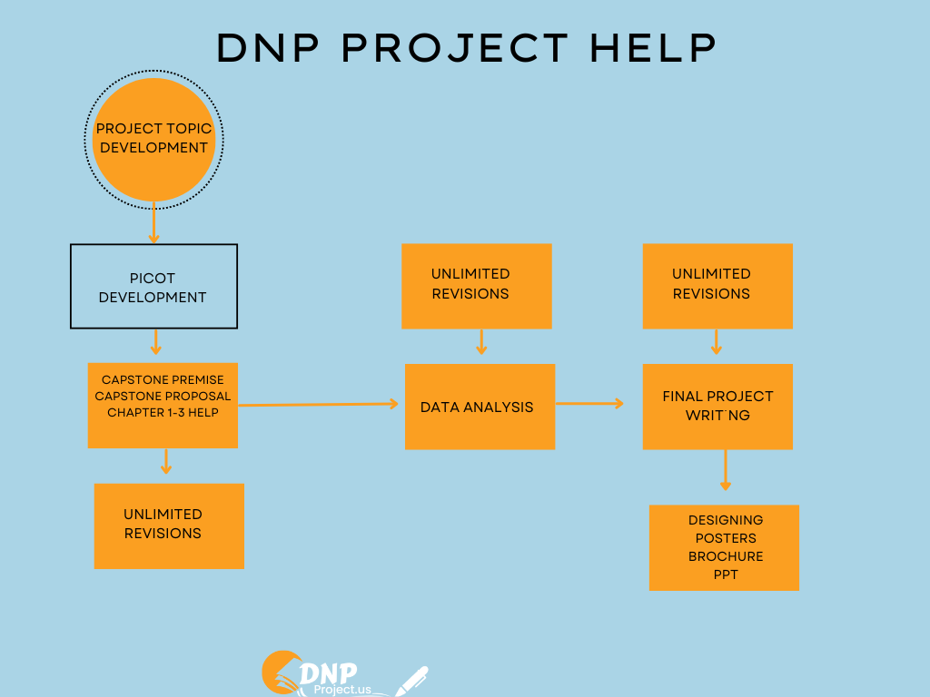 A flow chart diagram illustrating the services offered by DNP Project Help.